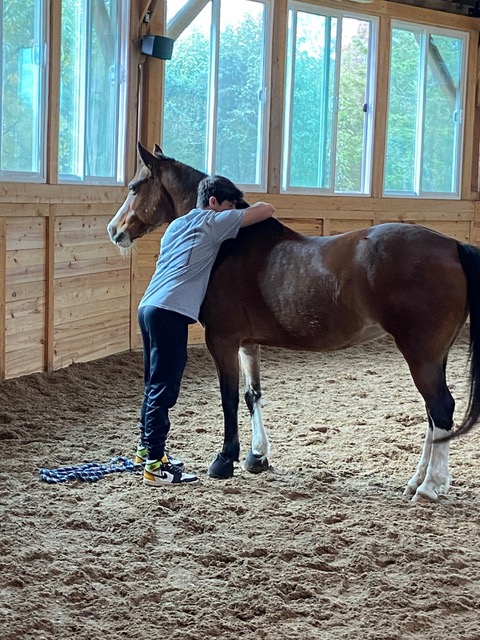 A resident embracing a horse during an equine workshop