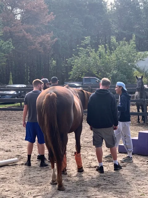 Residents taking part in an equine therapy group session
