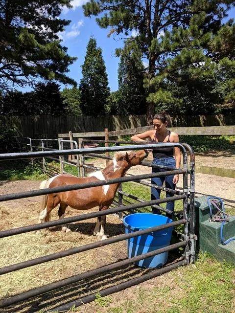 A resident caring for a miniature pony